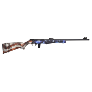 CARABINE 22LR USA
