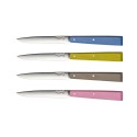 Boite de 4 couteaux de table OPINEL Esprit Campagne